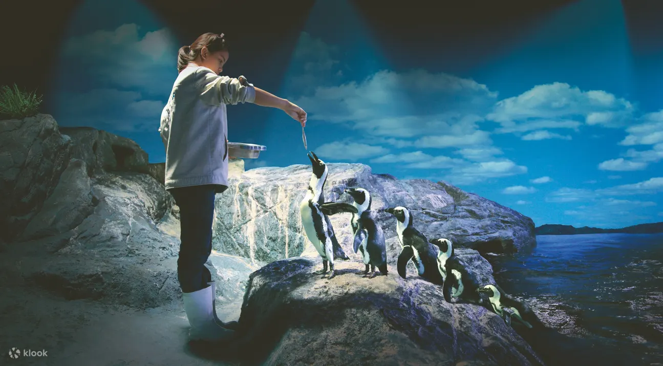 Penquin at Sealife Bangkok